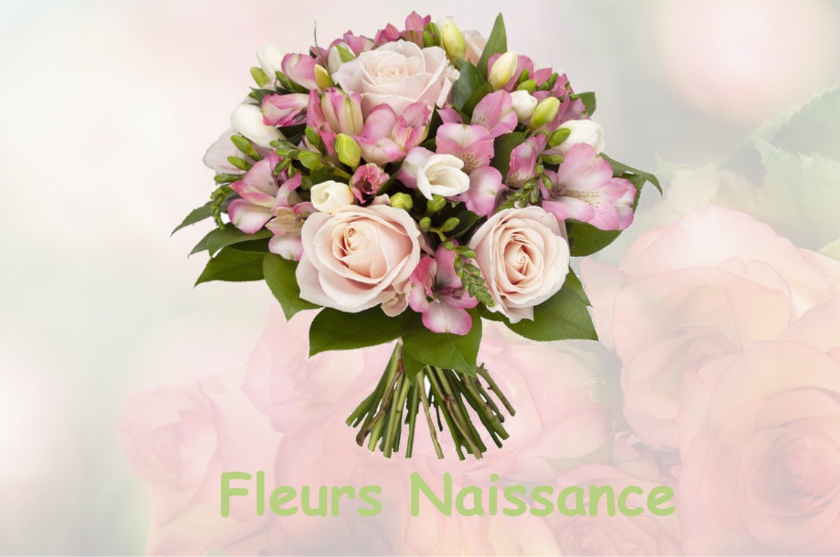 fleurs naissance BRIQUEMESNIL-FLOXICOURT